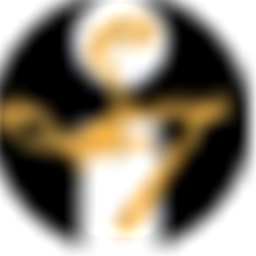 SalonTouch Studio Logo