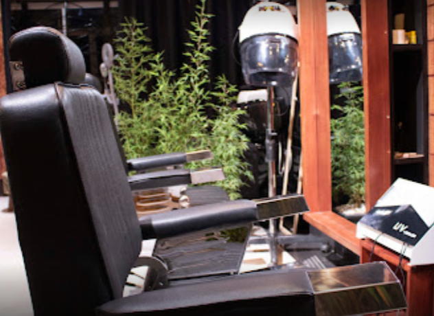 Looku Grooming Lounge