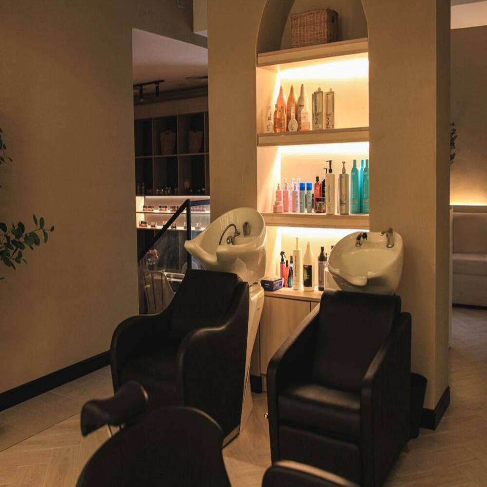 Salon Image